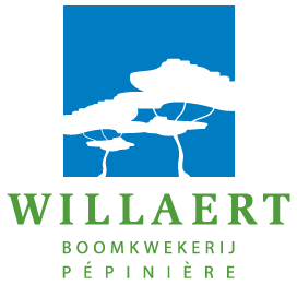 Willaert